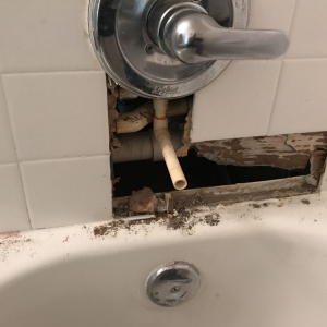 Photo of Pro Handyman