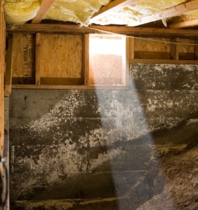 Photo of Restoration King