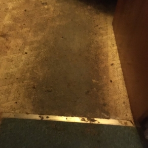 Photo of Almost New Floor Cleaning