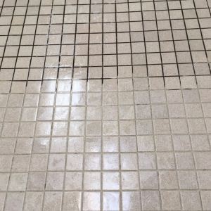 Photo of Almost New Floor Cleaning