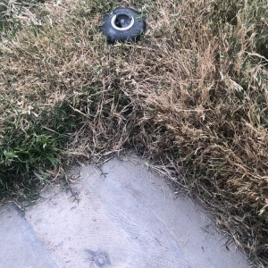 Photo of Energetic Lawn Care & Landscapes