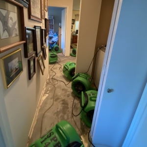 Photo of SERVPRO of Alamo Heights