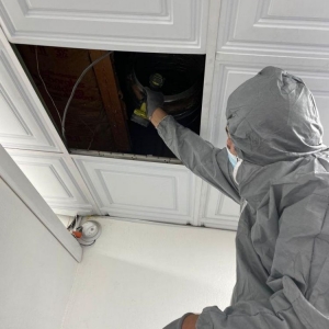 Photo of BayCare Cleaning Services