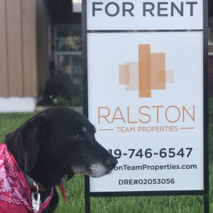 Photo of Ralston Team Properties