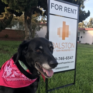 Photo of Ralston Team Properties