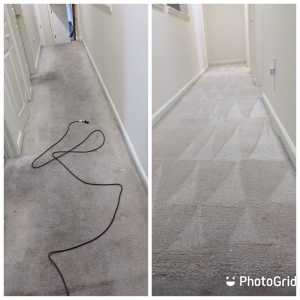Photo of Benicia Carpet Cleaning