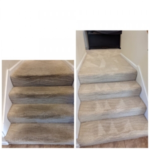 Photo of Benicia Carpet Cleaning