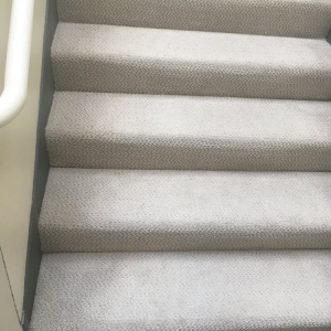Photo of Spotless