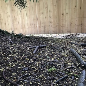 Photo of Puget Fence