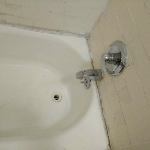 Photo of David & Daisy's Cleaning