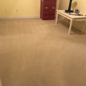 Photo of Promaster Carpet & Upholstery Cleaning