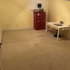 Photo of Promaster Carpet & Upholstery Cleaning