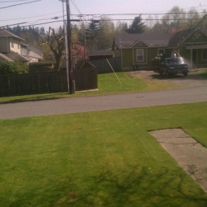 Photo of Mike's Window Cleaning