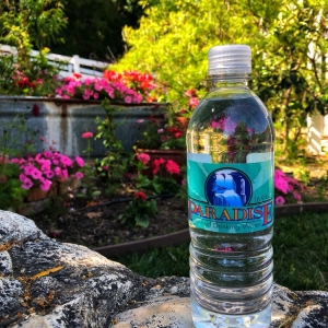 Photo of Paradise Drinking Water