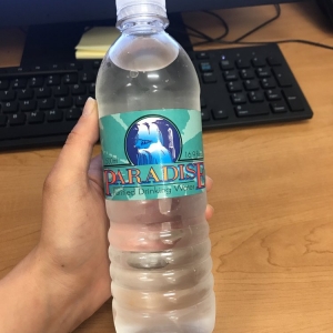 Photo of Paradise Drinking Water