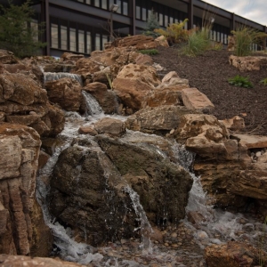 Photo of South County Landscaping