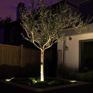 Photo of Dekor Lighting