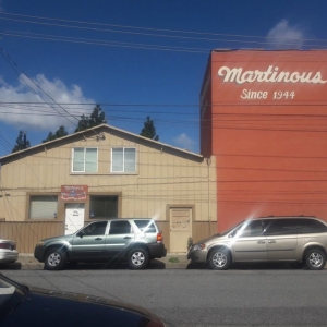 San Jose Martinous Rugs