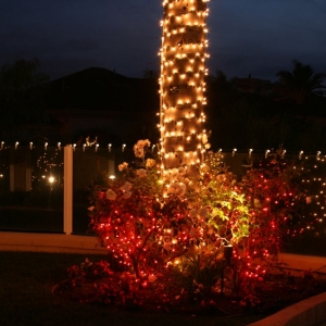 Photo of Santas Holiday Lighting