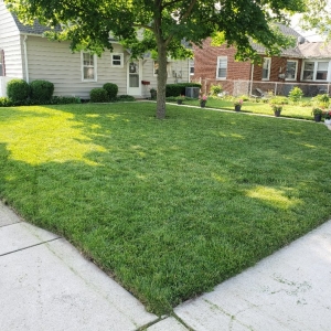 Port Huron Patriot Lawn Services