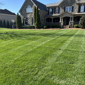 Photo of Emerald Arrow Lawn Care and Landscaping