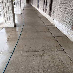 Photo of Sunshine Carpet Care