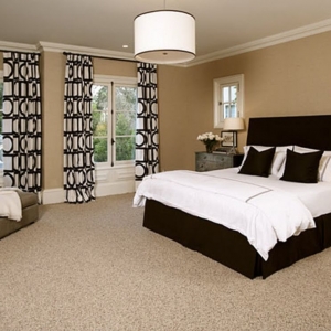 Photo of Arya Carpet & Upholstery Care and Restoration
