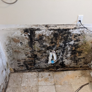 Photo of All Dry Restoration