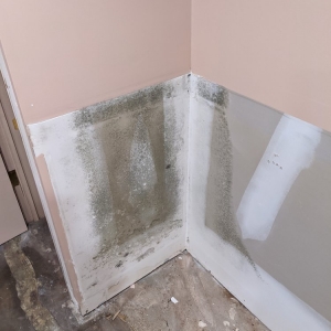 Photo of All Dry Restoration
