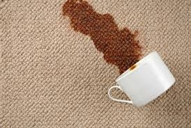 Photo of Clean Away Carpet and Upholstery Cleaning