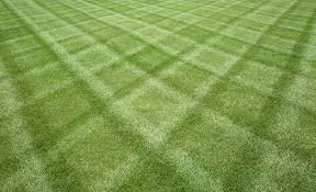Photo of North Metro Outdoor Services