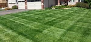 Photo of North Metro Outdoor Services