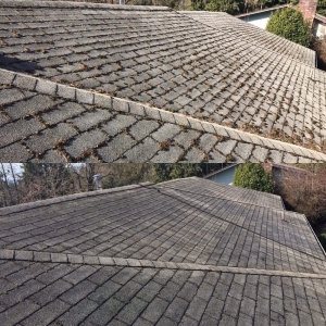 Photo of Mountain View Window Cleaning
