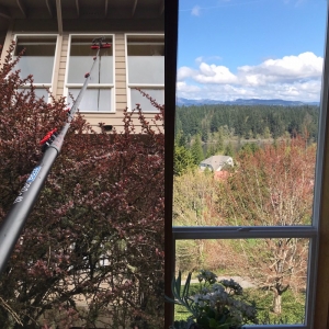 Photo of Mountain View Window Cleaning