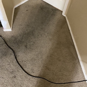 Photo of Miracle Carpet Cleaning
