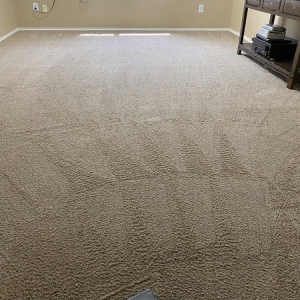 Photo of Miracle Carpet Cleaning