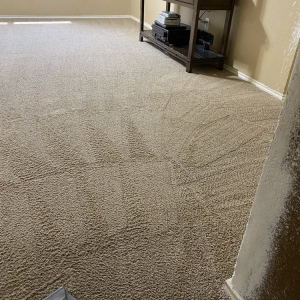 Photo of Miracle Carpet Cleaning