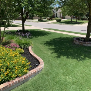 Photo of Emerald Lawns