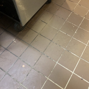 Photo of RamPro Commercial Cleaning & Janitorial Service