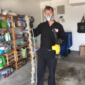 Photo of Mike's Clean Sweeps