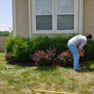 Photo of Martinez Tree & Lawn Service