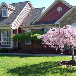 Photo of Ladukes's Irrigation Landscaping & Lighting