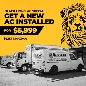 Photo of Black Lion Heating & Air Conditioning