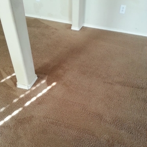 Photo of Oxi Fresh Carpet Cleaning