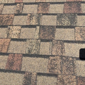 Photo of Peak 2 Peak Roofing Company