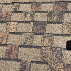 Photo of Peak 2 Peak Roofing Company