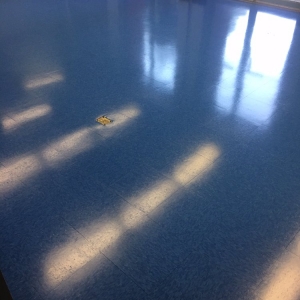 Photo of Scrubber Master Flooring&Cleaning