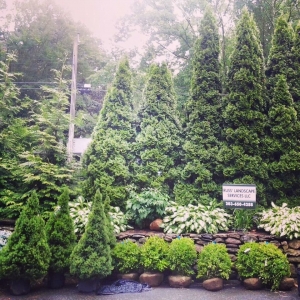 Photo of Russ Landscape Services