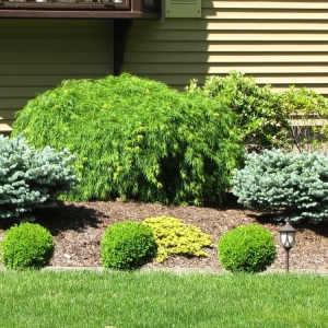 Photo of Russ Landscape Services