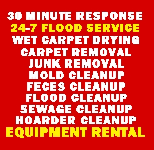 Photo of New York Flood Clean Up Company